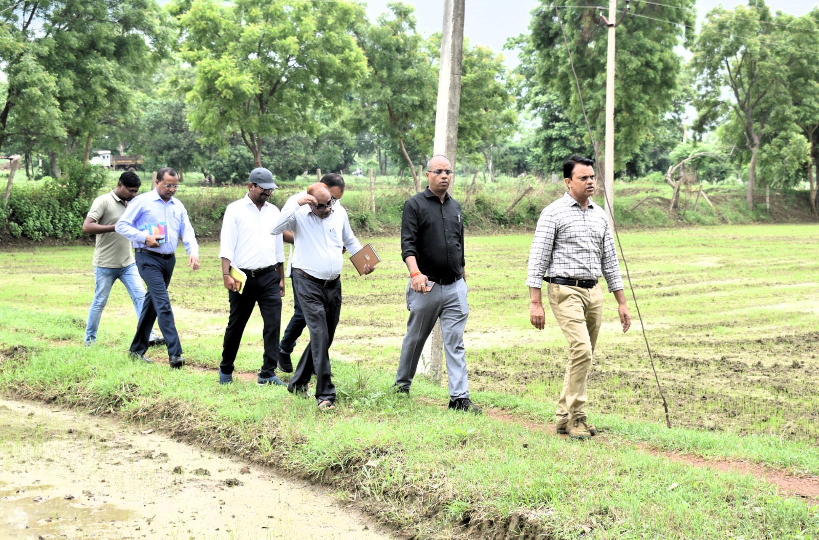 कलेक्टर ने सुदूर ग्राम में पहुँचकर किया कृषि कार्य का अवलोकन